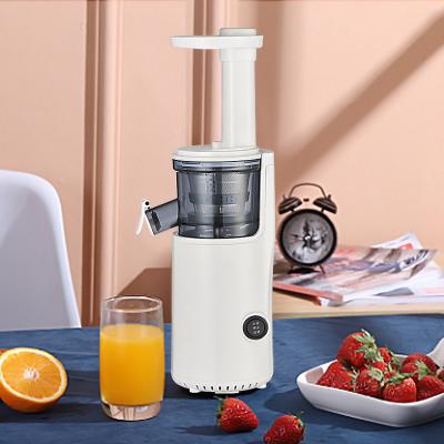 China New Household Ningbo Omega Vegetable Blender Type Fruit Carrot Juicer Slow Juicer Automatic Blender and Extractor for sale