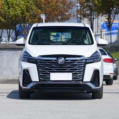 China 2023 (Cloth Buick GL8 Land-Business) (Class Smart Type New Pleasure Car for sale