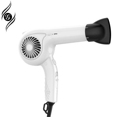 China Wholesale Private Label Low Noise Professional Use Hair Care Products Ionic Salon Electric Infrared Infrared Ionic Blow And Quick Dryer for sale