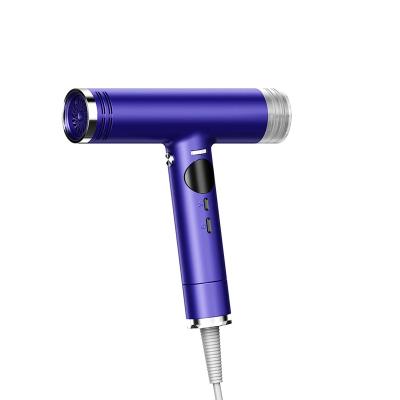 China New Arrival Professional High Speed ​​Negative Ion Blow Motor Fast Dry Hair Dryer Brushless Ionic Dryer BLDC Leafless Hair Dryer for sale