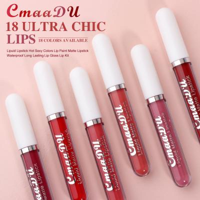 China Waterproof 18 Colors Matte Liquid Lipstick Makeup Long Lasting Lip Gloss Beauty Cosmetics Set Labial for sale