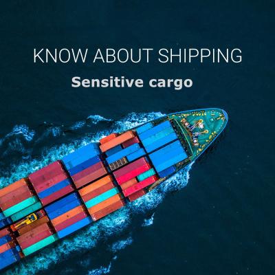 China DDP Shipping Cargo Agent With Consolidation Service Liquids / Brands / Air Cargo To Europe /USA /UK Batteries By sendtro Shipping Sendtro Shipping for sale