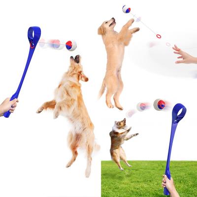 China Viable Outdoor Interactive Hot Dog Throwing Stick Dog Walking Toy Throwing Ball Artifact Dog Toy for sale