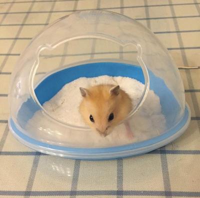 China Sustainable Hamster Sand Bathroom Hamster Bath Tube Grooming Pet Products for sale