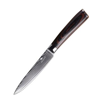 China 5Inch 67Layer VG10 Damascus Fruit Sustainable Stock Steel Peeling Knife for sale