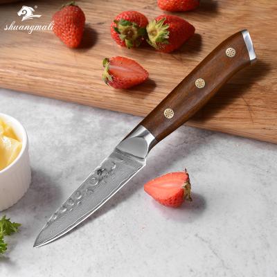 China 3.5 Inch 67Layer Sustainable Chinese VG10 Damascus Steel Fruit Knife for sale