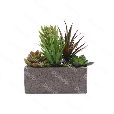 China Home Decoration Puindo 10-30CM Customized Plant J5 Series Green Potted Artificial Succulent Plants Interior Ministry Decoration for sale