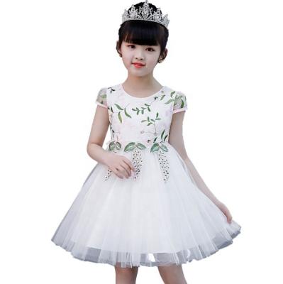 China 2019 Viable European American Children Fashion Round Neck Embroidered Applique Mesh Cute Long Dress Design Dress Princess Dress for sale