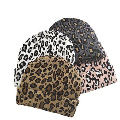 China New Hot Sale Fashion Ladies Leopard Print Fedora Woolen Women Knitted Slouch Beanies Winter Hats Female for sale