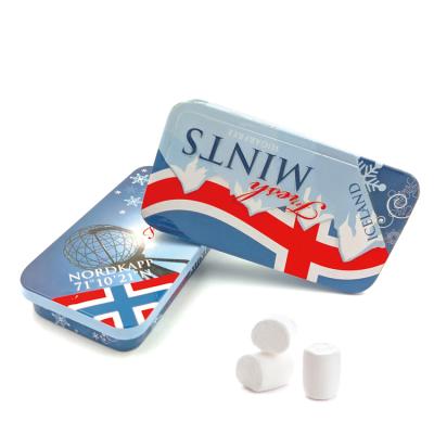 China Empty Metal Mini Candy Tin Box Food Square Small Cosmetic Pill Cream Mint Spice Candy Tin Box for sale