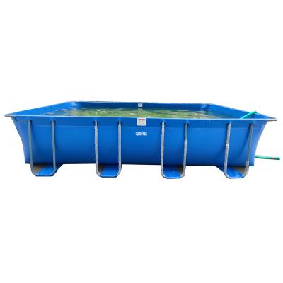 China Adult New Arrival Easy Set Outdoor Customized Printed PVC Swimming Above Ground Frame Pool for sale