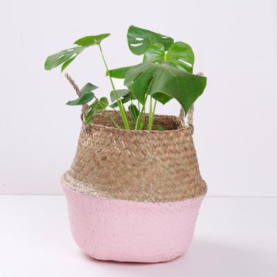 China Sustainable Colorful Straw Woven Bottom Belly Basket Of Vegetable Plankton To Work As Laundry Or Planter Storage Basket for sale