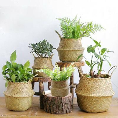 China Sustainable Natural Plant Plankton Straw Foldable Woven Belly Basket To Be As Laundry Storage Or Flower Pot for sale