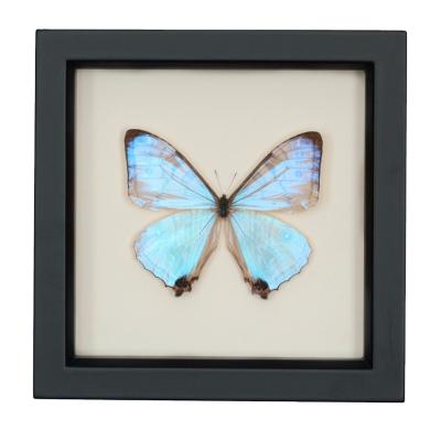 China High Quality Picture Frame Design 3d New Shade Box Frame With Wooden for sale