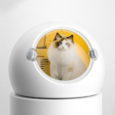 China CHARGE Power Source Smart Temperature Control Low Noise Automatic Grooming Pet Dryer Machine Box Hair Dryer for Cat for sale