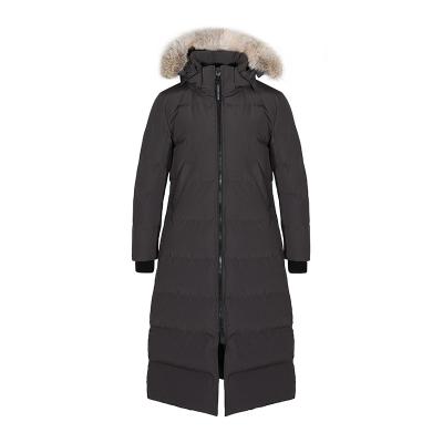 China Waterproof Ready For Ship 2021 New Arrival Womens Duck Down Jacket With Real Coyote Fur for sale