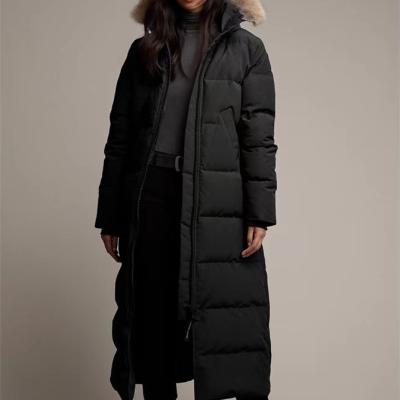 China Customized Raincoat For USA Europe Goose Down Women's Winter Jacket Stripper Long Jacket Women for sale