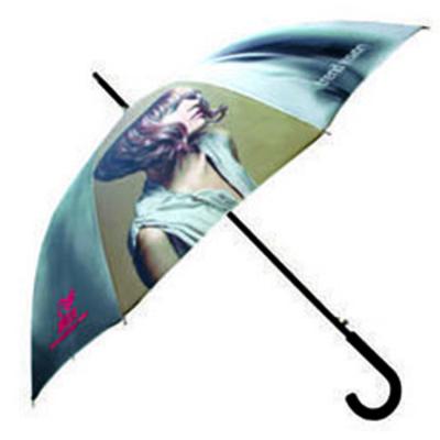 China Fashion Umbrella Factory Custom Brands Printing Promotional Hotel Rain Golf Umbrella for sale