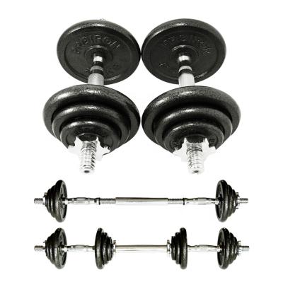 China Design Bionic Skeleton Dinosaur Manufacturers Directly Supply Free Adjustable Dumbbell Sets And Cheap Products Plating Dumbbell Baking Varnish for sale