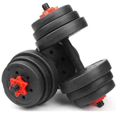 China Bionic Skeleton Dinosaur Fitness Equipment High Quality Weight Barbell Set Gift Box 20kg/30kg Adjustable Dumbbell Design Set Fitness Equipment 20kg 30kg for sale