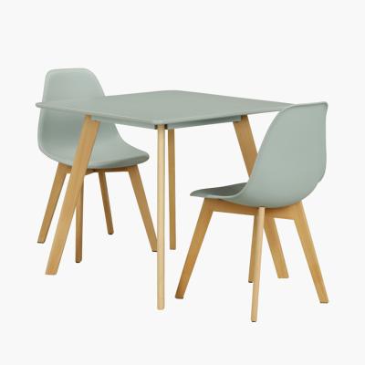 China Free Sample Norsic Style Modern Gray Plastic Dining Chairs Wooden Living Room Chairs With Resin Seat for sale