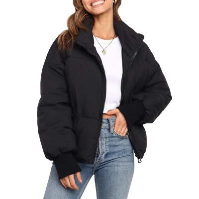 China Anti-Wrinkle Women Loose PocketJacket Warm Zipper Puffy Cotton Jacket Bread Jacket for sale