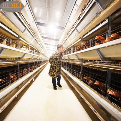 China Automatic Poultry Farming Equipment Bangladesh Layer Cage System Poultry Equipment Battery Chicken Egg Farm Equipment 20,000 Layers for sale