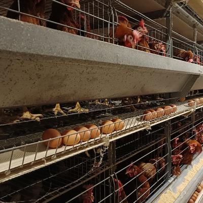 China Commercial Chicken Feeding Modern Design H Type Galvanized Chicken Egg Layer Cage Layer Cage for chicks for sale