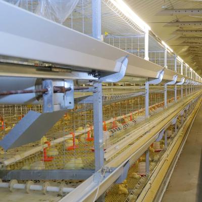 China Full Automatic 4 Row Steel Structure Broilers H Frame Poultry Broiler Battery Cages Automatic Broiler System in India Egypt for sale