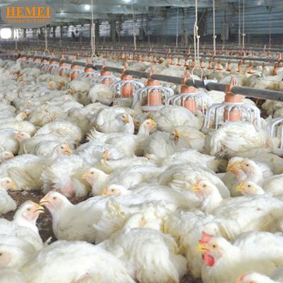 China Save Breed Cost Fully Automatic Feeder Poultry Broiler Chicken Feeder Pan Equipment For Chicken With CE Certificate for sale