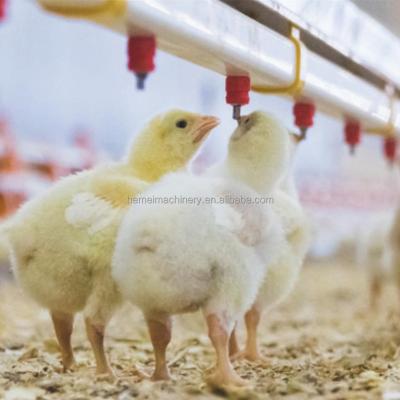 China Animal Water HEMEI Poultry Drinker Broiler Drinker Drinking Drinking System Chicken Layer Nipple for sale