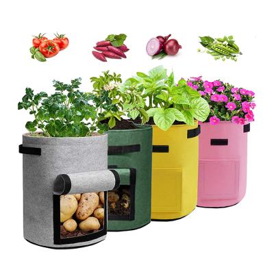 China Hot Selling Amazon Potato Onion Planting Pot Plant Growth Felt Growing Bags With Window for sale