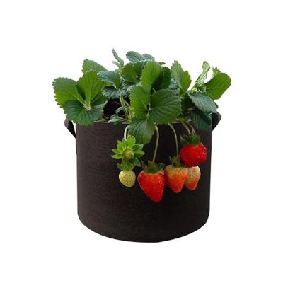 China Wholesale Plant Growth 1 3 5 7 10 Gallon Strawberry Felt Tissue Plant Growing Bags for Garden for sale