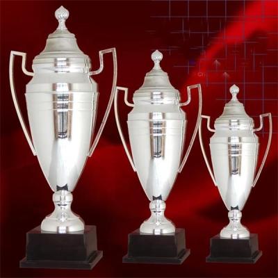 China Europe Sales Personalize Custom Metal Medal And Trophy Supplier for sale