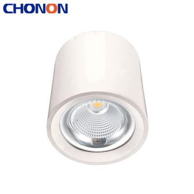 China Modern Outdoor Mounted LED Downlights Round Shape For Offices Hotels Shopping Malls for sale