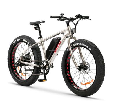 China Aluminum Alloy Electric Ebike Rear Motor-Drive 48V 500W Electric Mountain Bike Fat Tire for sale