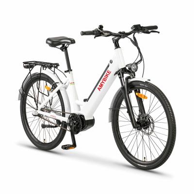 China Aluminum Alloy Ebike Mid Motor Drive 36V 250W Electric Mountain BIKE Amybike Amy Electric Bike for sale