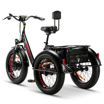 China Electric Cargo Ebike Front Motor-Drive 48V 500W Electric Tricycle Bike for sale