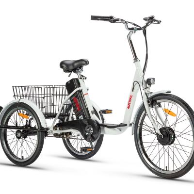 China Electric Cargo Ebike Front Motor-Drive Tricycle 36V250W Electric Bike for sale