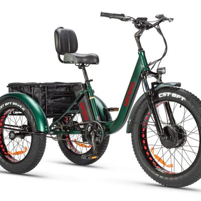 China Electric Cargo Ebike Front Motor-Drive 48V 500W Electric Tricycle Bike for sale