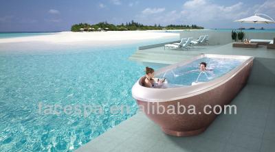 China 2013 New Swim SPA Swimming Pool Boat Boat Type Swimming Pool FS-S07M 7000*2200*1430mm for sale