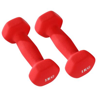 China China Durable Professional Ladies Children's Fitness Logo New Adjustable Dumbbells Custom Hex for sale