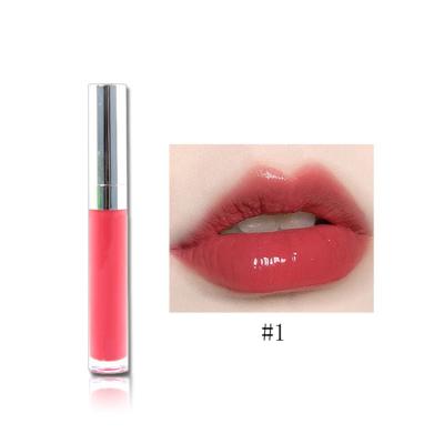 China Factory direct sale waterproof lip gloss gloss moisturizing plumper lip gloss with free sample for sale