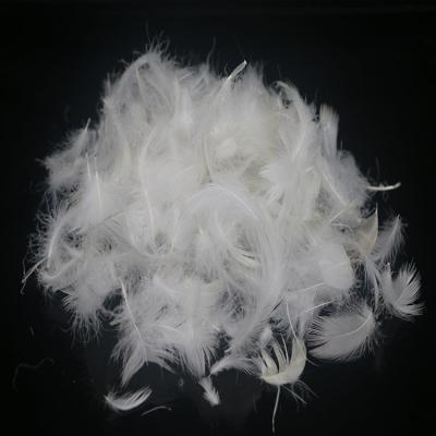 China SIZE QUALITY eco-friendly WASHED WHITE DUCK/GOOSE FEATHER 2-4 cm FOR PILLOW for sale