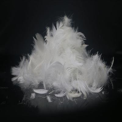 China Huilong 2-4cm Eco-friendly Factory Washed Goose Down / Goose Feather for sale