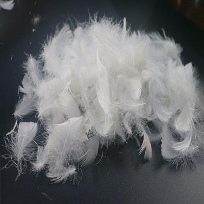 China Eco - Friendly Duvet And Pillow Filling Material Washed White Duck Feather 2-4cm for sale