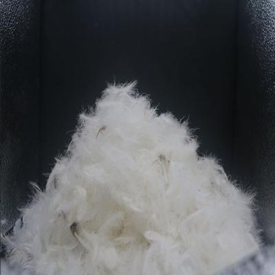 China Factory Price Safety Eco-friendly Soft Soft Warm Health Washed Duck Feather For Sale White for sale