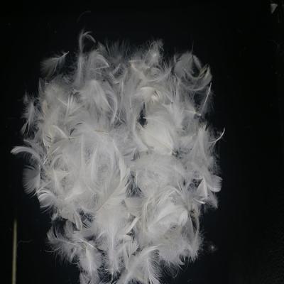 China Eco-Friendly Wholesale Factory Price Goose Down Price 10% White Goose Down Feather For For Quilts Pillows for sale