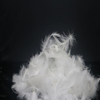 China Hot Selling Eco-friendly Natural High Filling Power 5% Down White Goose Feathers Down for sale