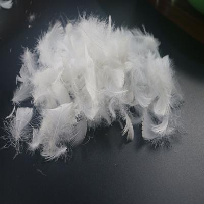 China Eco-friendly Goose Feather/White Goose Feather/20% Natural Raw White Washed Goose Duck Down Feather for sale